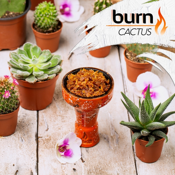 Купить Burn - Cactus (Кактус, 20 грамм)