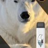 Купить City Zoo - Белый медведь (Кола со льдом), 700 затяжек, 18 мг (1,8%)